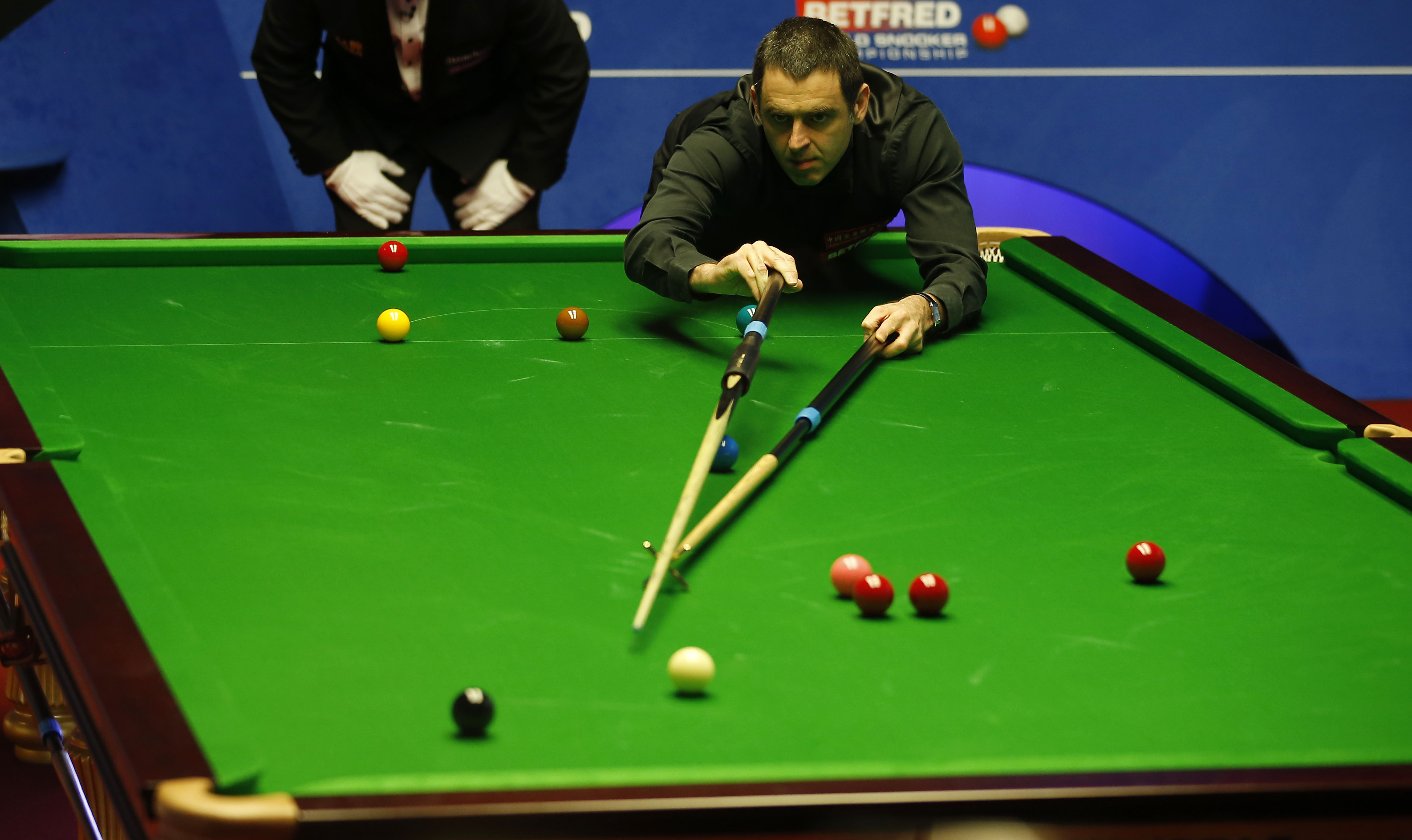 尊重每一位 尊重每一位