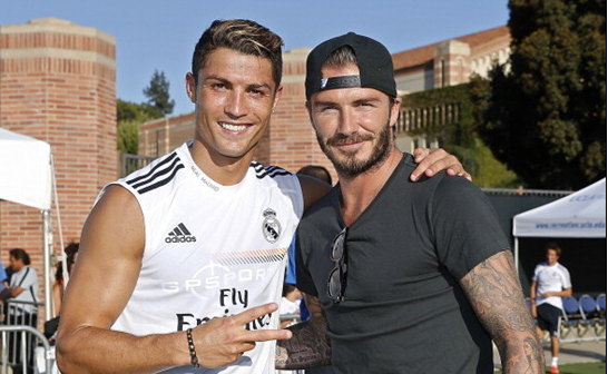 可供品牌元 可供品牌元